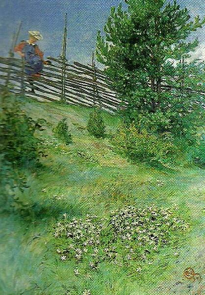 Carl Larsson flicka vid gardesgarden china oil painting image